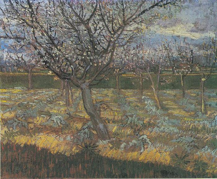 Vincent Van Gogh Flowering orchard with apricot-trees China oil painting art